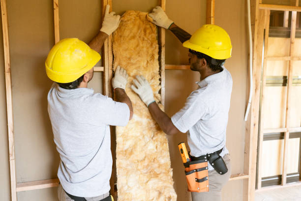 Professional Insulation Services in Wood River, IL